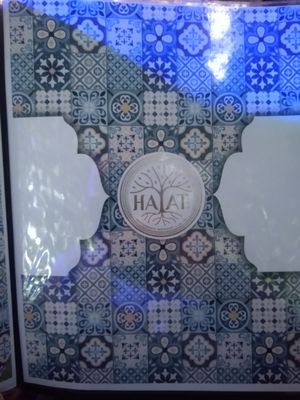 Hayat by null
