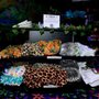 Photo of Sensory World Memphis