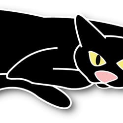 Cat Care At Home