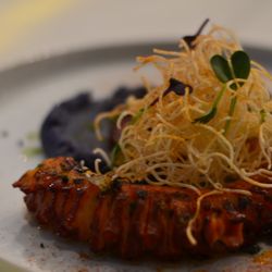Crudo Bar - Grilled octopus