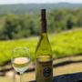 Photo of Stony Mountain Vineyards