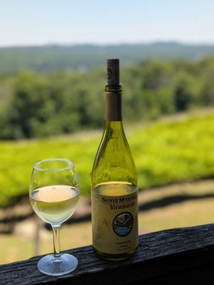 Shale Ridge Winery STONY MOUNTAIN VINEYARDS - Updated October 2026 - 66 Reviews - 66 ...