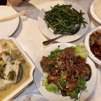 Sichuan Jin River - Chinese Near Me - Rockville, Maryland