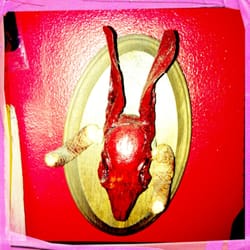 Trundle Manor - El Diablo Armadillo