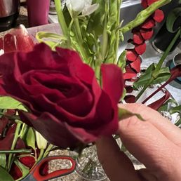 Is this a rose? Yup, I'm smushed. Is this a rose? Yup, I'm smushed.