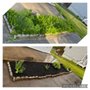 Photo of Rosonina Brothers Landscaping