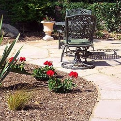 Darcy's Garden