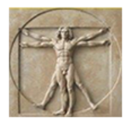 Jamie Activates - I am a member of the American Association of Drugless Practioners. I use the SIX PILLARS OF LIFESTYLE MEDICINE in my practice. #aadp