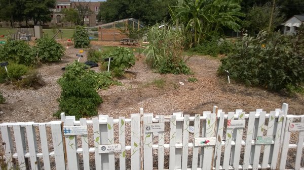 Fresh Future Farm by null