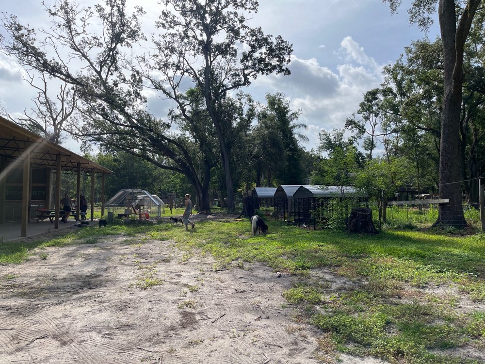 TREE HOUSE FARM 5921 Portal Rd, Trinity, Florida Attraction Farms