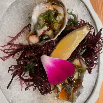 Omakase Sushi & Sake Bar - Oyster - Sushi Bars Near Me - Lexington, Kentucky