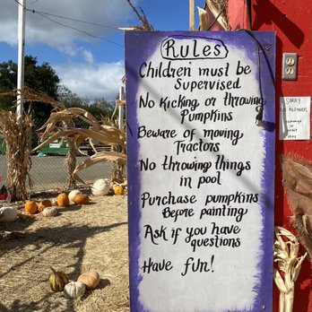 Queens Pumpkin Patch - Pumpkin Patches Near Me - Saratoga, California Queens Pumpkin Patch - Pumpkin Patches Near Me - Saratoga, California