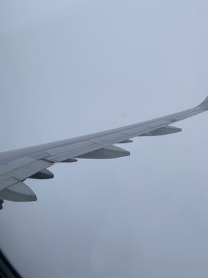 Delta Air Lines by null