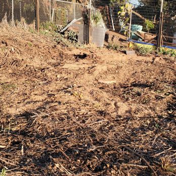 TC Environmental Service - Everything removed on my hill - Tree Services Near Me - San Diego, California
