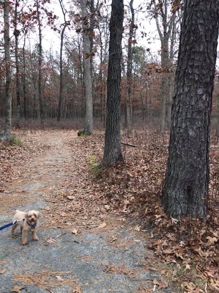 PATRIOTS COUNTY PARK & SPORTS FIELD COMPLEX Updated September 2024