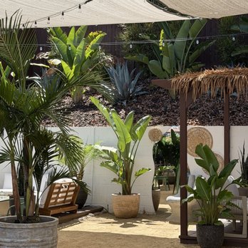 Kafe-Lum - Outside - Coffee & Tea Near Me - Chula Vista, California Kafe-Lum - Outside - Coffee & Tea Near Me - Chula Vista, California
