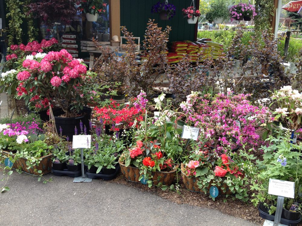 BEACHSIDE GARDENS & GIFT CENTER Updated May 2024 13 Photos 3725 E