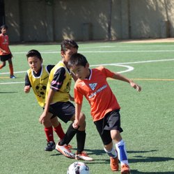 Santa Clara Rush - Tournament