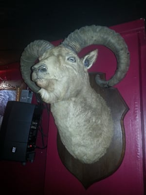 Pigalle Country Club by null