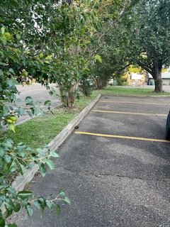 Greenfield Lawn Service - tree service in Pearl, MS