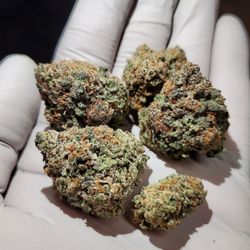 Green Light District - Dosidos fresh Drop, stop by today!