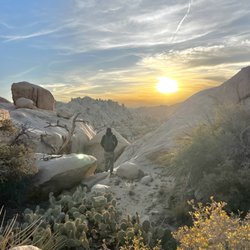 Joshua Tree Adventures