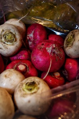 SoBro Farmers Market by null