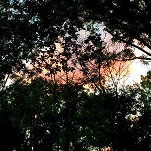 APPLE RIVER CANYON STATE PARK - Updated March 2025 - 19 Photos - 8763 E