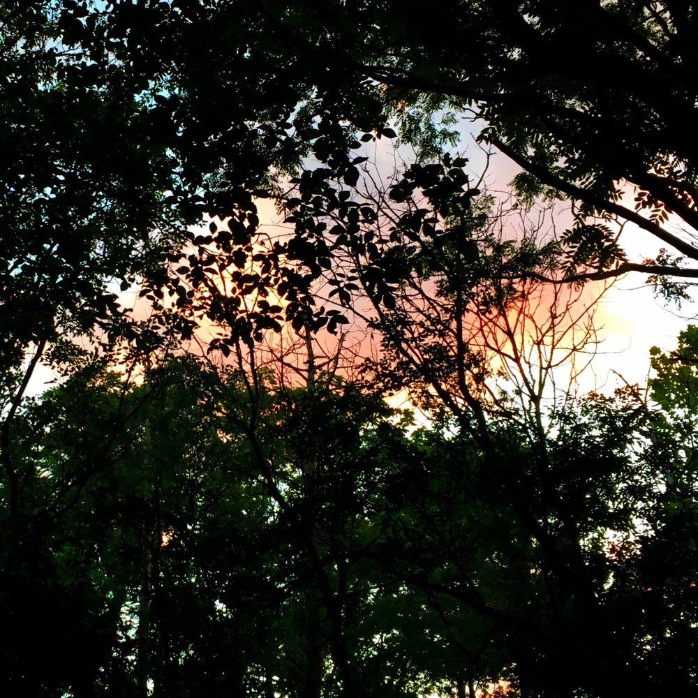 LAKE LEAQUANA STATE PARK Updated September 2024 13 Photos 8542