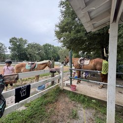 Oak View Stables