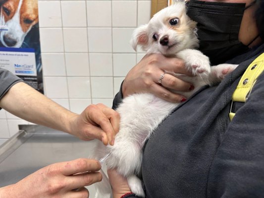 HACIENDA ANIMAL CLINIC - 76 Photos & 194 Reviews - 1338 N Hacienda Blvd HACIENDA ANIMAL CLINIC - 76 Photos & 194 Reviews - 1338 N Hacienda Blvd