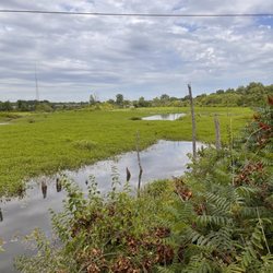 Grassy Creek Park