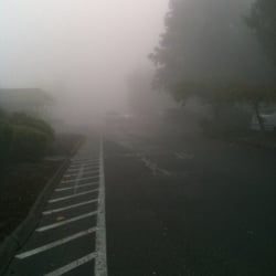Paclab Olympia Patient Service Center - Spooky morning parking