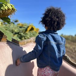 Carl Laidlaw Orchards