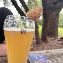 Live Oak Brewing Company - Live Oak, Hefeweizen