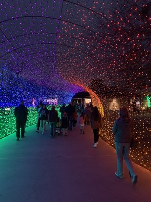 Abilene Zoo by null