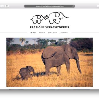 House Digital - Website for Passion For Pachyderms, a non-profit based in New York City - Web Design Near Me - New York, New York