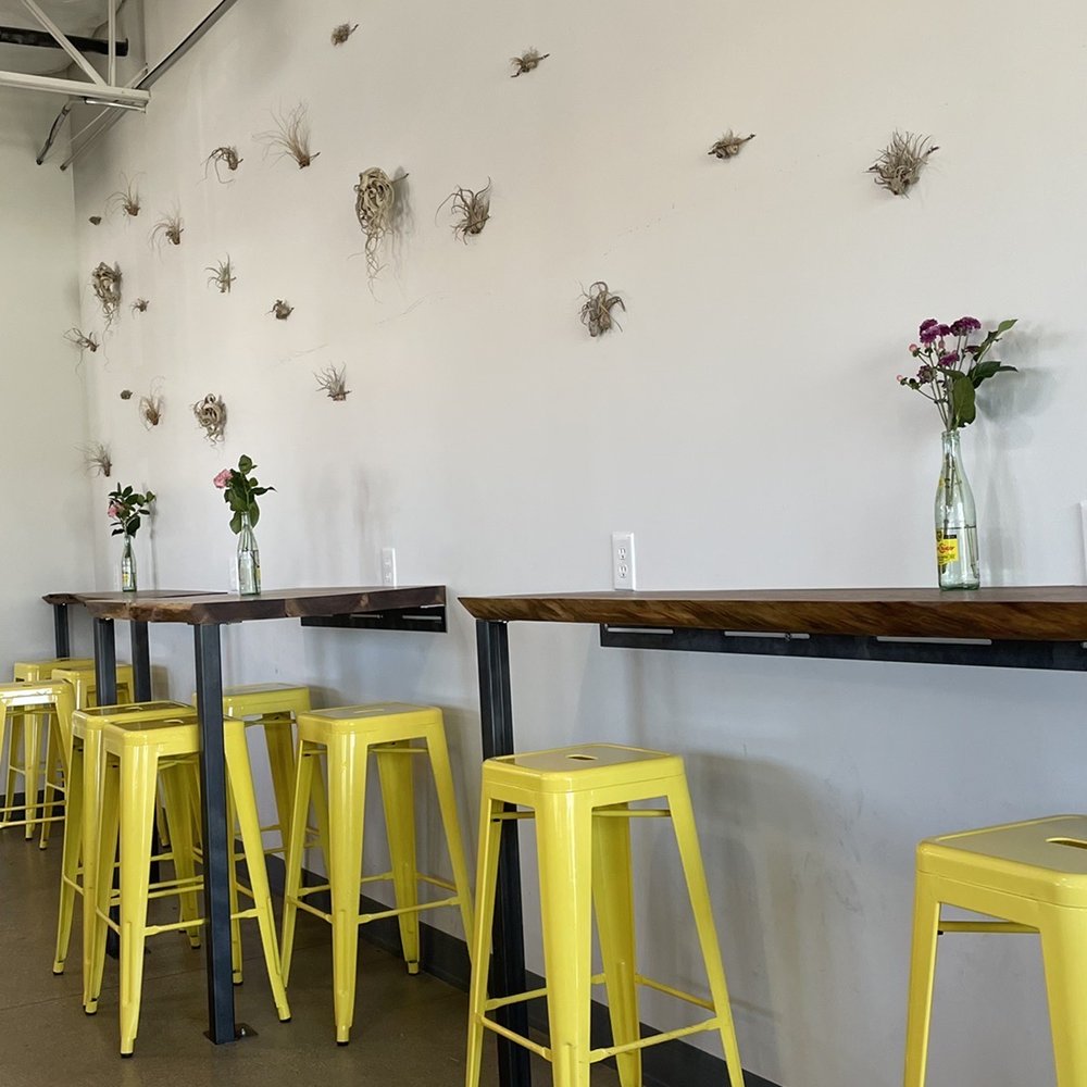 The Hive - Air plant decor - Sandwiches Near Me - Arlington, Texas The Hive - Air plant decor - Sandwiches Near Me - Arlington, Texas