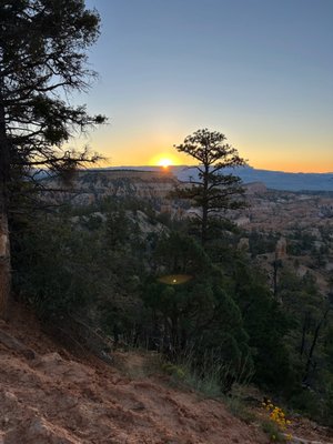 Bryce Amphitheater by null