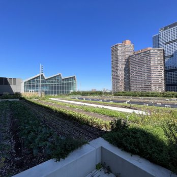 Jacob K Javits Convention Center - Rooftop farm - Venues & Event Spaces Near Me - New York, New York Jacob K Javits Convention Center - Rooftop farm - Venues & Event Spaces Near Me - New York, New York