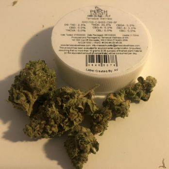 Temescal Wellness - Close-up on the C99. This one wasn't the worst but the smell was awful, like dry grass. - Cannabis Dispensaries Near Me - Pittsfield, Massachusetts Temescal Wellness - Close-up on the C99. This one wasn't the worst but the smell was awful, like dry grass. - Cannabis Dispensaries Near Me - Pittsfield, Massachusetts