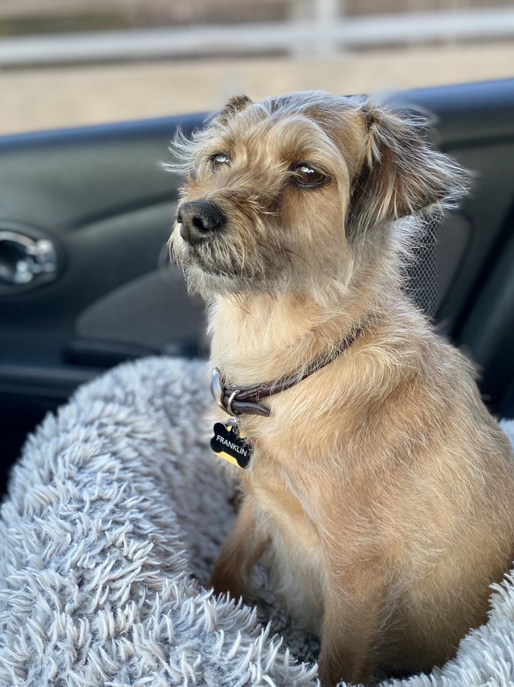 GOOD LIFE VETERINARY CARE Updated August 2024 16 Reviews 1475 N