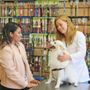 Photo of VIP Petcare Wellness Center