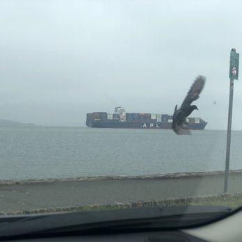 Marina Green Park - Alcatraz covered by the Container Ship and Bird - Parks Near Me - San Francisco, California Marina Green Park - Alcatraz covered by the Container Ship and Bird - Parks Near Me - San Francisco, California