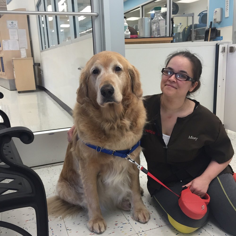 Petco - Misty and Cowboy - Pet Training Near Me - Pittsburgh, Pennsylvania