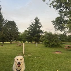 Campsite view