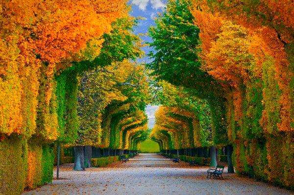 Kensington Tours by null