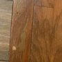 Photo of Carolina Hardwood Flooring