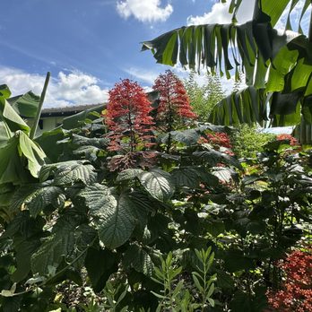 Flogrown farm - Nurseries & Gardening Near Me - Parkland, Florida Flogrown farm - Nurseries & Gardening Near Me - Parkland, Florida