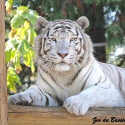 Zoo du Bassin d'Arcachon